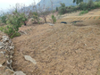 歇马虎头村不同土地利用方式下土壤质量数据集（2020）