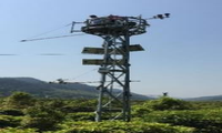 2020-2024年金佛山国家站柑研所自动气象站观测数据