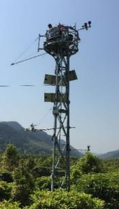 2020-2024年金佛山国家站柑研所自动气象站观测数据